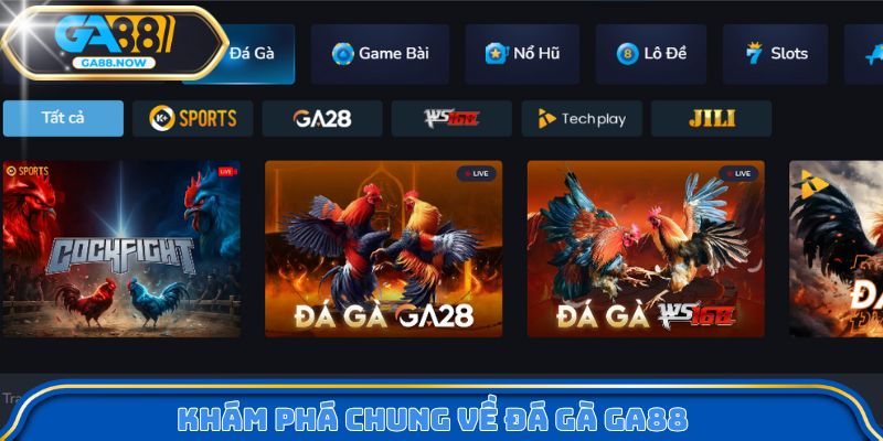 Khám phá chung về đá gà GA88 
